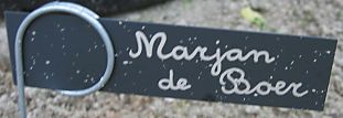 Marjan de Boer